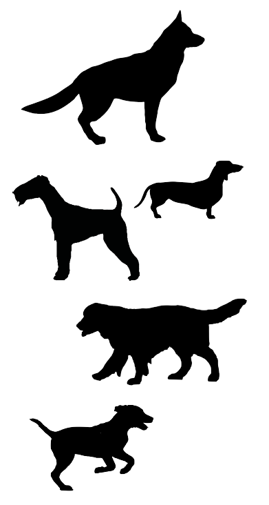 Hunde Hunde